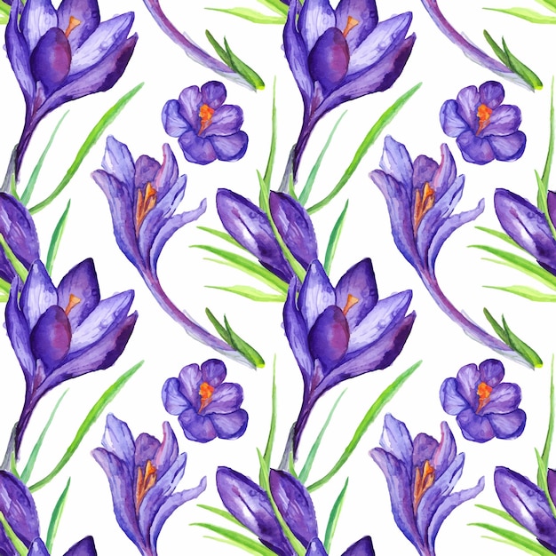 Vetor de fundo sem costura de flor de açafrão violeta violeta aquarela