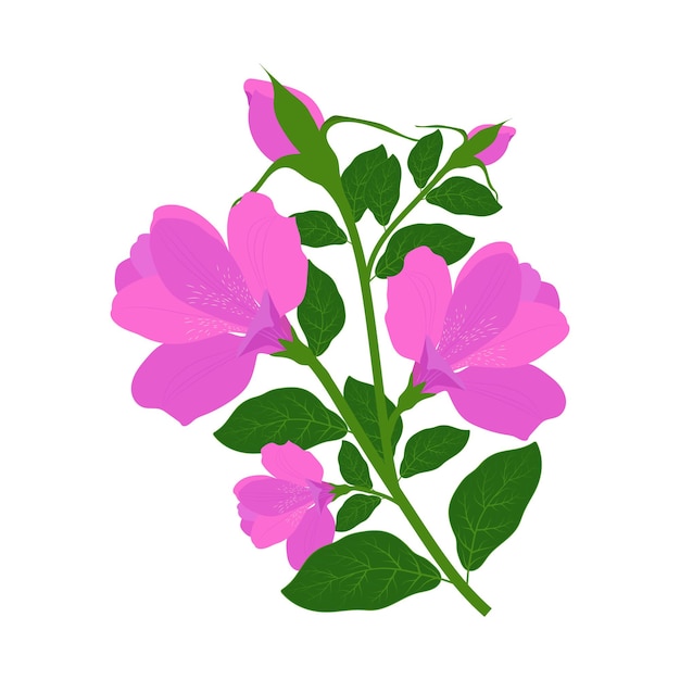 Vetor vetor de gráficos de ilustração floral de flor de rododendros