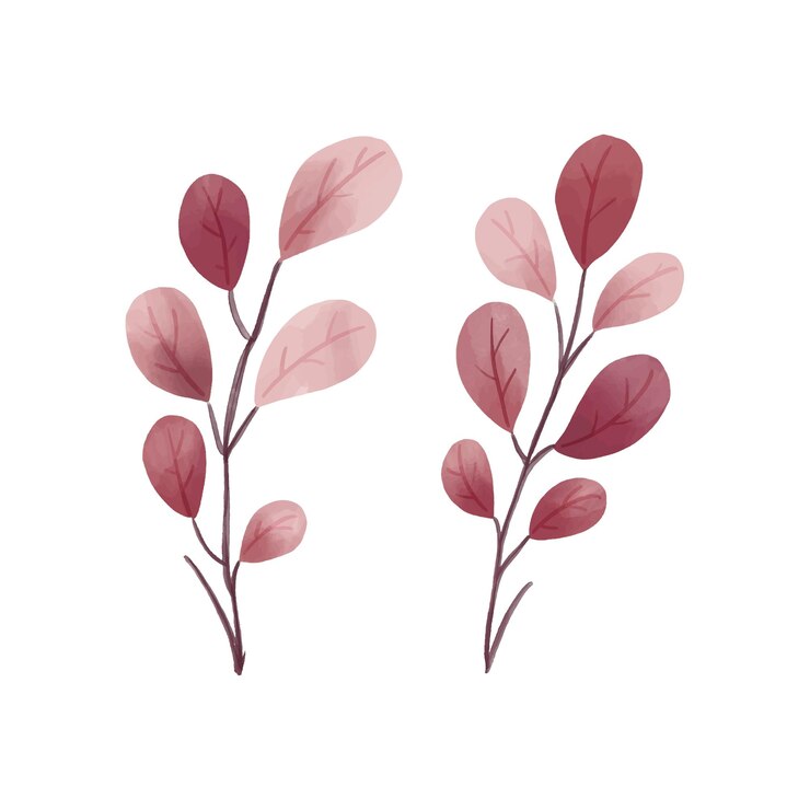 Vetor de ilustração em aquarela floral folha