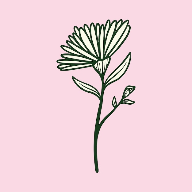 Vetor de ilustração floral botânica