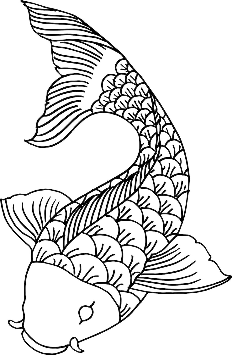 Vetor vetor de ilustração handdraw de peixe koi