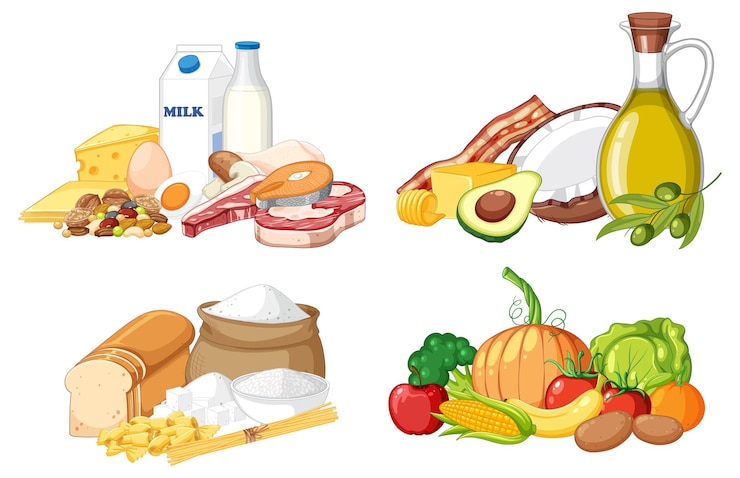 Vetor vetor de macronutrientes dos principais grupos de alimentos