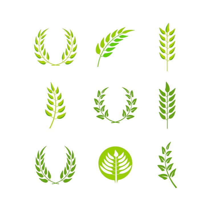 Vetor vetor de modelo de design de ícone de logotipo de ramo de folha