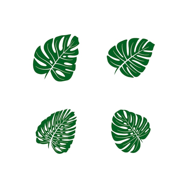 Vetor de modelo de design gráfico de folha Monstera