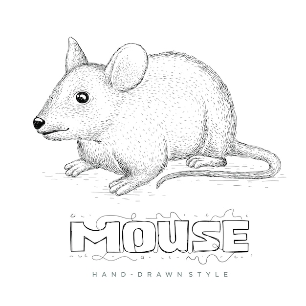 Vetor de mouse estilo desenhado na mão. ilustrações realistas de animais