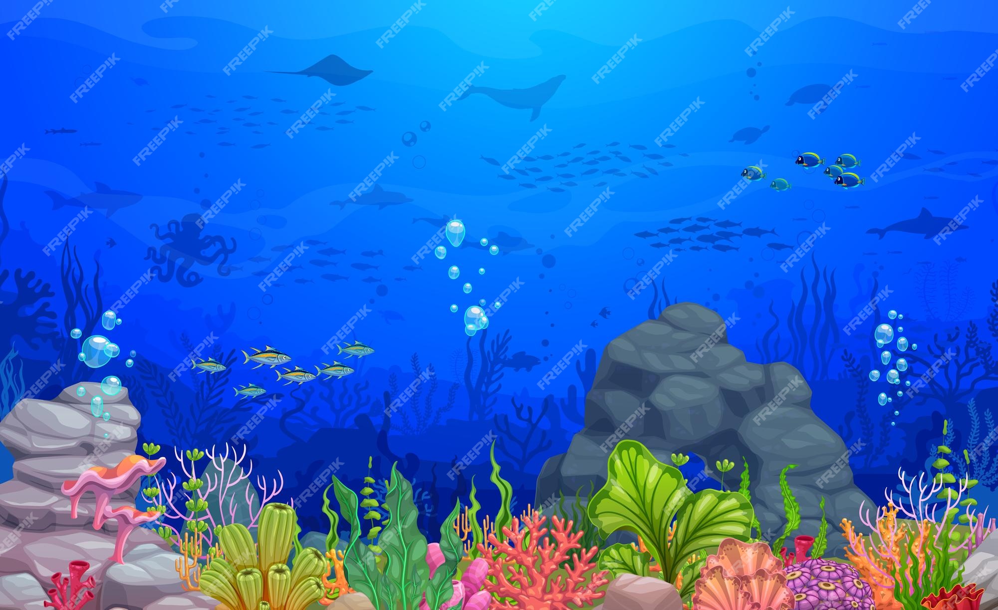 Nível de jogo de mar de paisagem subaquática de desenho animado com animais  de algas e fundo de vetor de baú de tesouro aventura oceânica e nível de  jogo mundial de recife de coral com paisagem de mar peixes lulas e  caranguejos