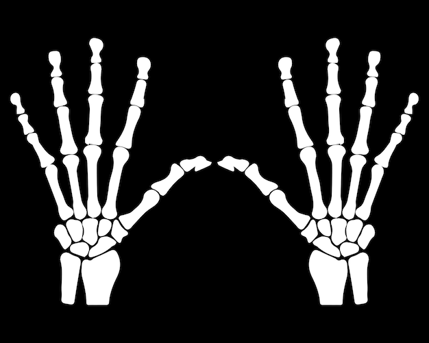 Vetor vetor de ossos de esqueleto de mão