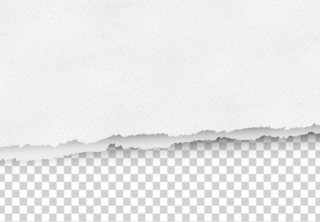 Vetor de papel rasgado em fundo transparente