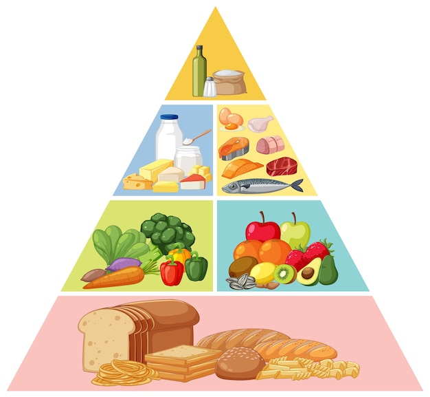 Vetor vetor de pirâmide de dieta equilibrada
