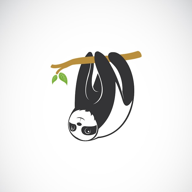 Vetor de preguiça bonitinha pendurada no galho de árvore no fundo branco animais adoráveis da floresta tropical logotipo ou ícone da preguiça mammal animal ilustração vetorial em camadas editável fácil