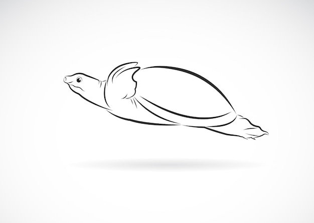 Vetor de tartaruga de casca mole trionychidae em fundo branco, logotipo ou ícone de tartarugas de animais selvagens