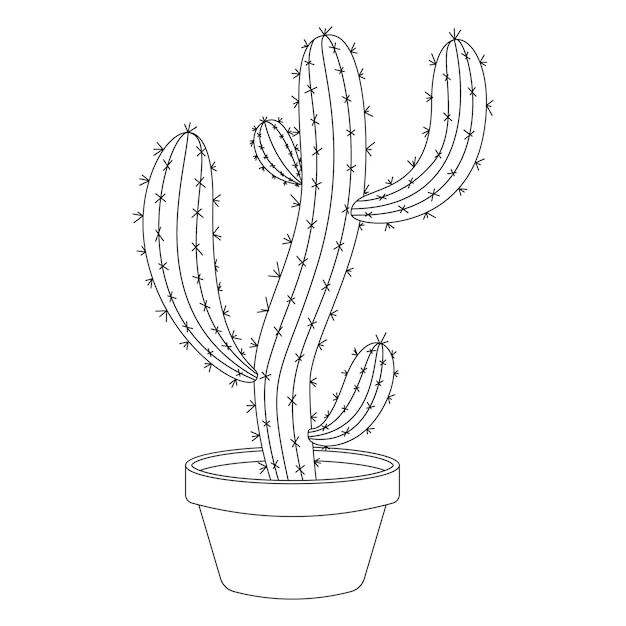 Ícone Doodle Do Desenho Do Cacto Desenhado A Mão. Ilustração Decorativa Do  Esboço Da Planta Da Casa Em Vaso Para Impressão, Web, Móvel E Infografia  Isolada No Fundo Branco. Ilustraciones svg, vectoriales