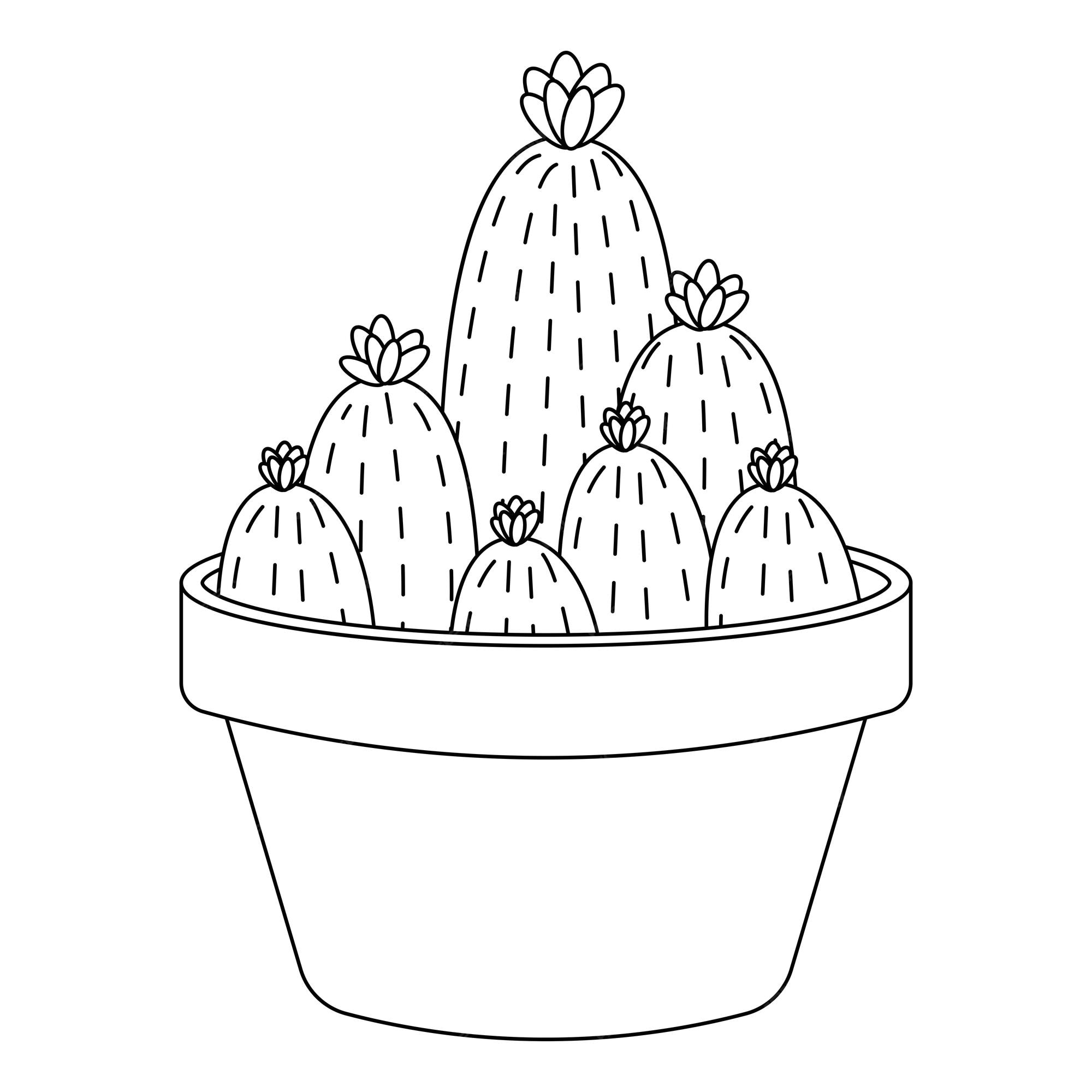 Ícone Doodle Do Desenho Do Cacto Desenhado A Mão. Ilustração Decorativa Do  Esboço Da Planta Da Casa Em Vaso Para Impressão, Web, Móvel E Infografia  Isolada No Fundo Branco. Ilustraciones svg, vectoriales