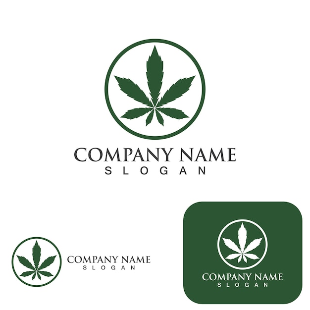 Vetor do logotipo da natureza da saúde da folha da cannabis