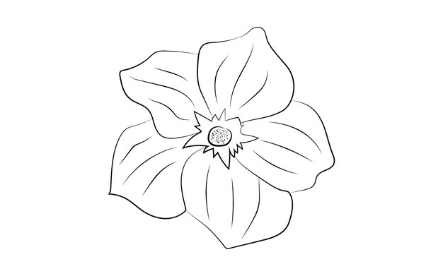 Vetor vetor grátis lindo desenho de mão e esboço de flor decorativa