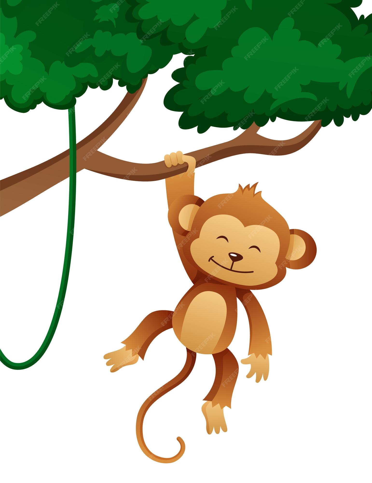 Bonito bebê macaco dormindo kawaii desenho animado vetor ilustração isolado  . imagem vetorial de Sabelskaya© 321169708