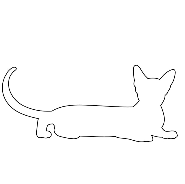 Vetor isolado contorno ícone de gato em fundo branco