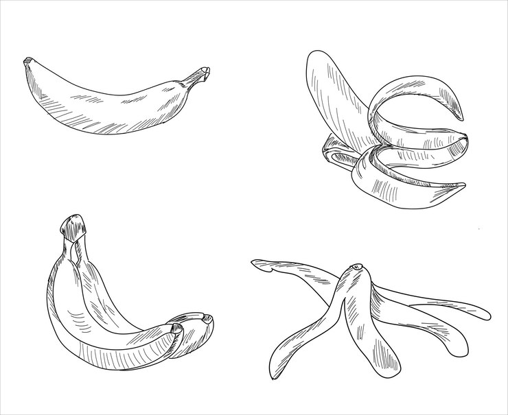 Vetor vetor laranja desenhado em um fundo branco