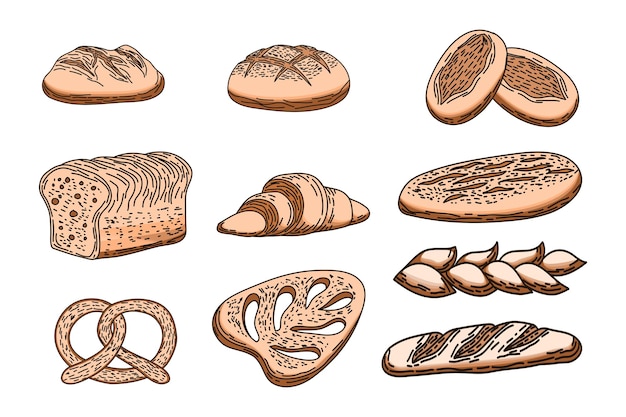 vetor para colorir ilustração de pães franceses desenhados à mão