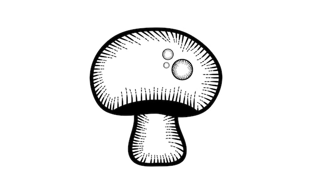 Vetor vetor premium de cogumelo desenhado à mão vintage