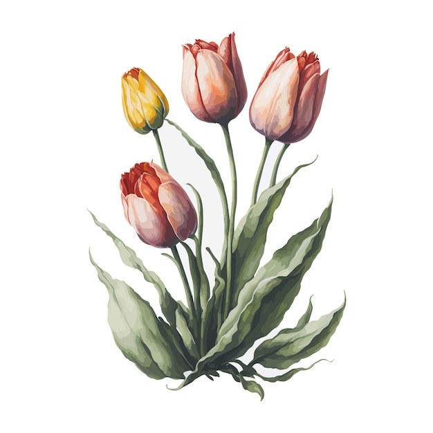 Vetor simples de aquarela de tulipas