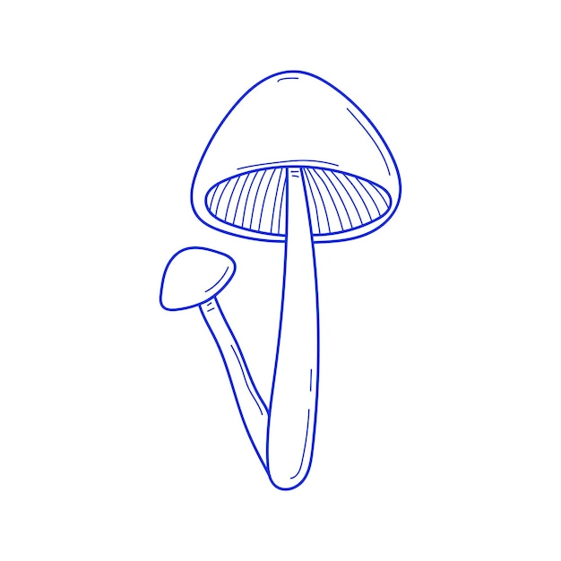 Vetor vetorial mão desenhada dois cogumelos esboço isolado em fundo branco amanita muscaria fly agaric ilustração