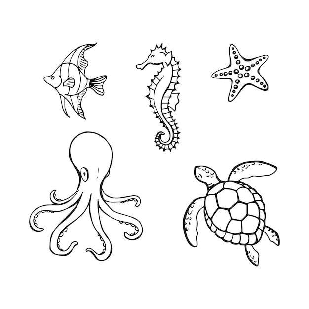 Vida subaquática do mar ou do oceano com diferentes animais Ilustração desenhada à mão convertida em vetor