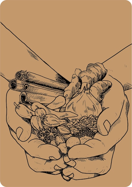 Vintage Spice_Ilustração
