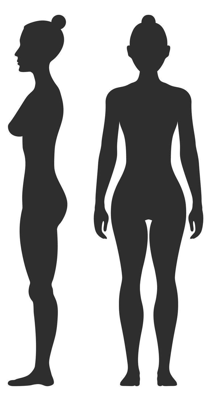Vetor vista frontal e lateral da mulher figura negra feminina isolada em fundo branco