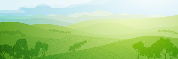 Vista panorâmica de colinas verdes na manhã ensolarada, ilustração vetorial