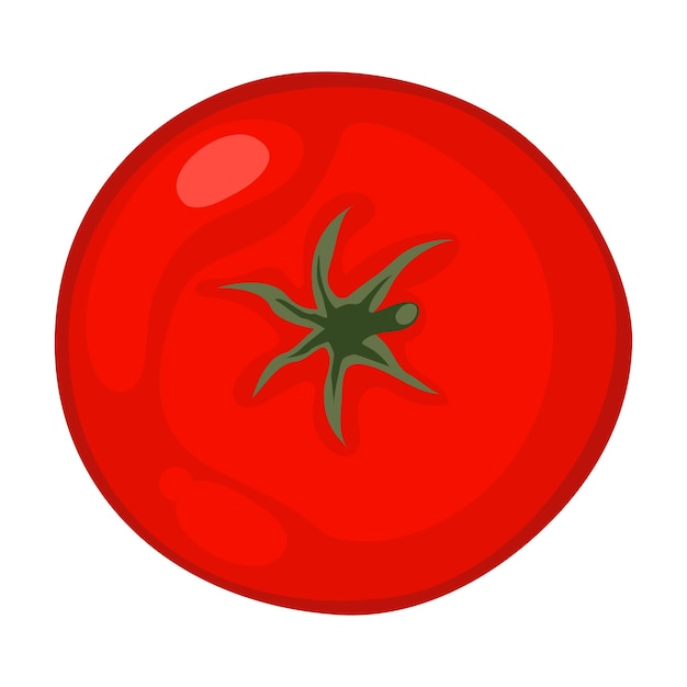 Vista superior de tomate
