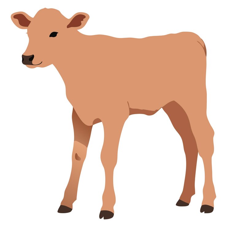 Vetor vitelho jovem de pé na grama ilustração de animais de fazenda ideal para temas de agricultura e natureza