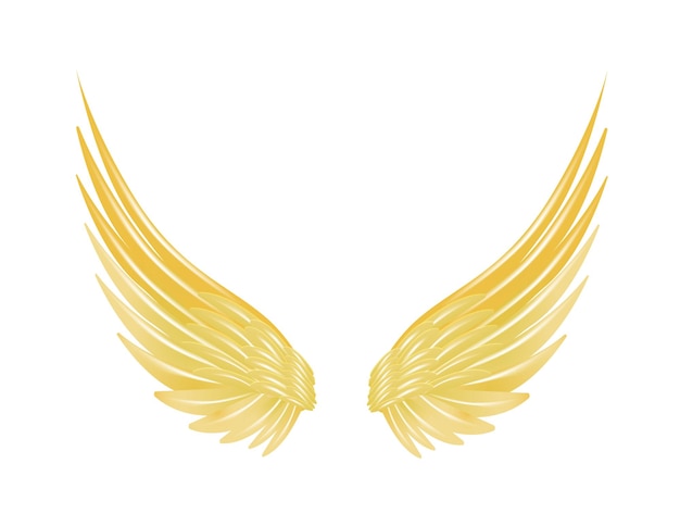 Voando com asas douradas isoladas em um d branco