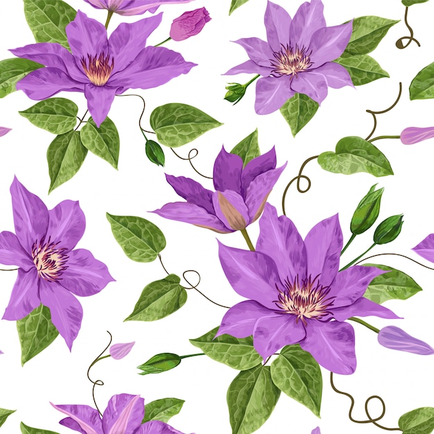 Watercolor clematis flowers floral padrão sem emenda tropical