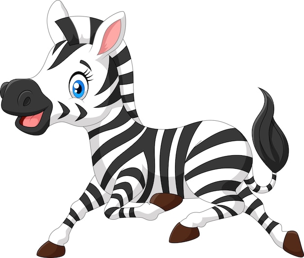 Zebra bebê fofo