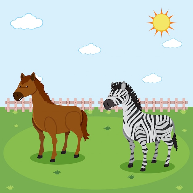 Zebra e cavalo na natureza