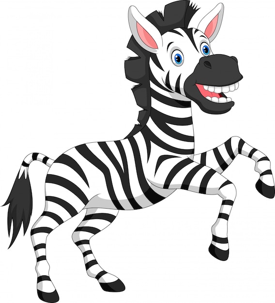 Zebra feliz dos desenhos animados