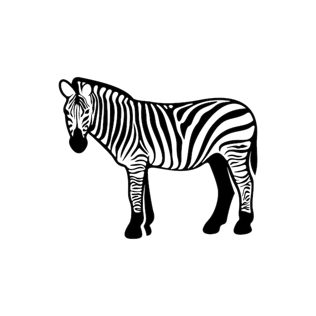 Zebra gráfica isolada no fundo branco ilustração vetorial modelo