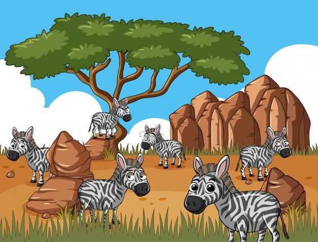 Vetor zebras no campo de savana