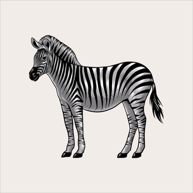 Zebras savana