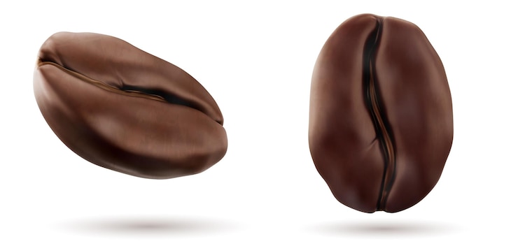 Vettore gratuito 3d chicchi di caffè isolati icona di semi realistici