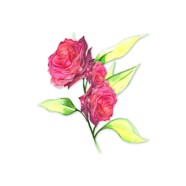 Abstract bouquet di fiori rosa verde acquerello sfondo illustrazione ad alta risoluzione foto gratis