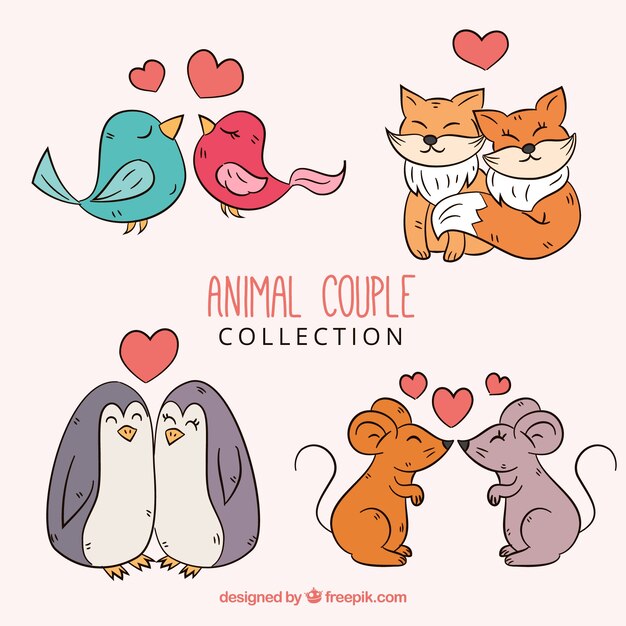 Accumulazione delle coppie animali di San Valentino disegnato a mano