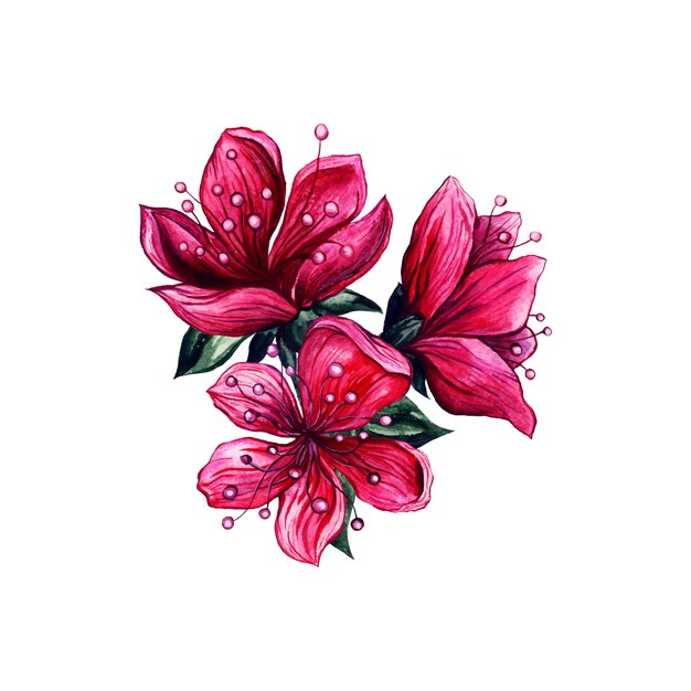 Acquerello di fiori rosa, fiore di prugna giapponese
