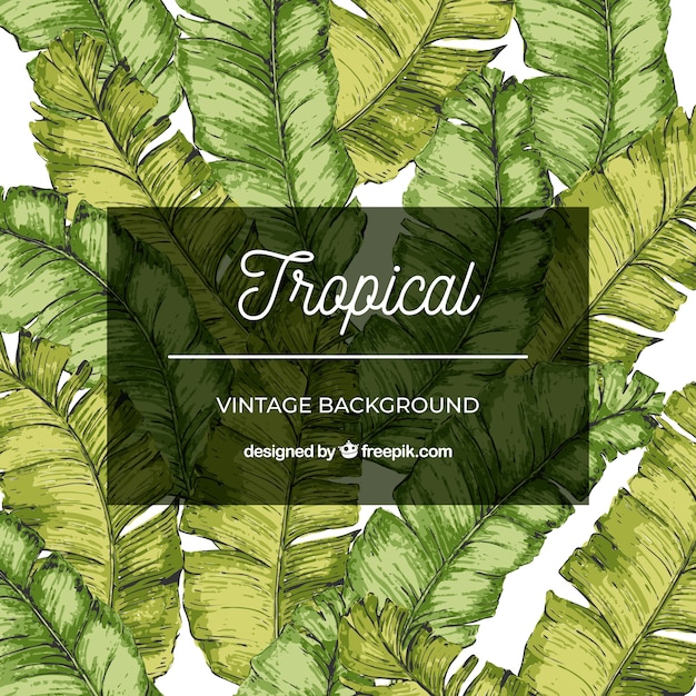 Acquerello sfondo tropicale con stile vintage