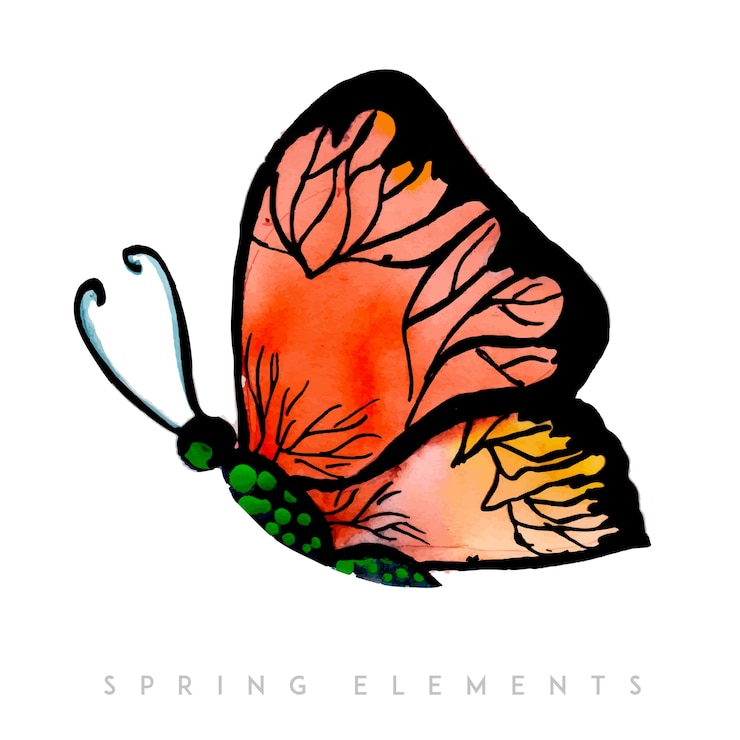 Vettore gratuito acquerello spring butterfly
