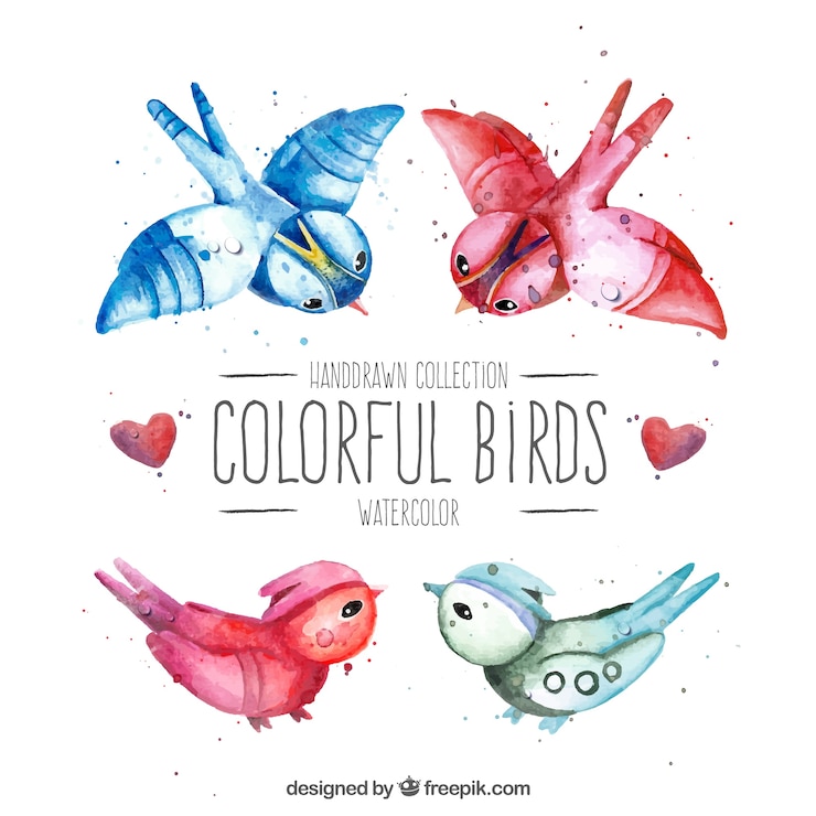 Vettore gratuito acquerello uccelli colorati