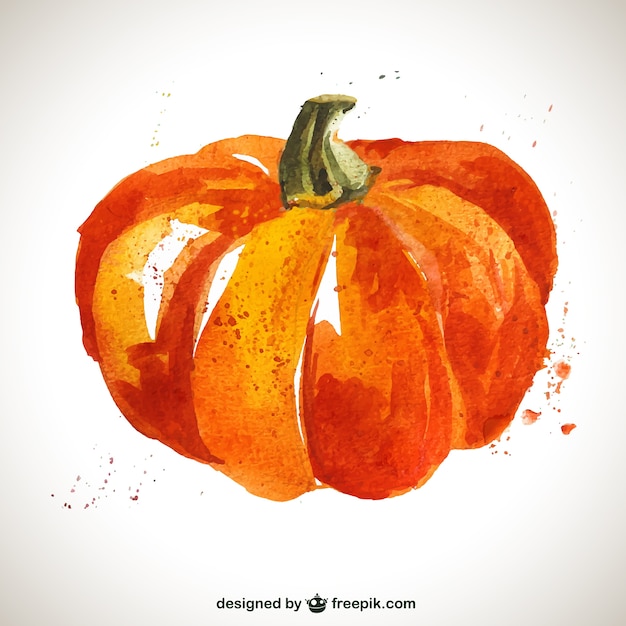 Acquerello zucca