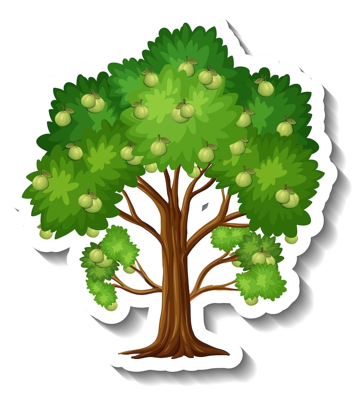 Vettore gratuito adesivo albero di guaiava su sfondo bianco