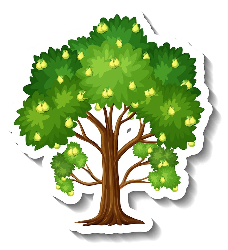 Vettore gratuito adesivo albero di pere su sfondo bianco